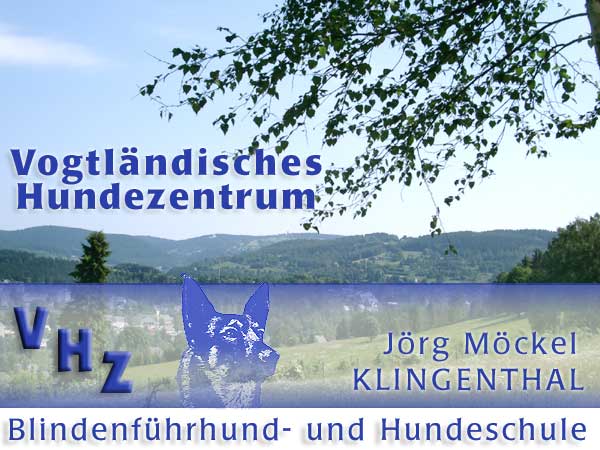 Startbild Klingenthal mit Logo VHZ