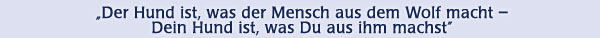 Der Hund ist, was der Mensch aus dem Wolf macht - dein Hund ist, was du aus ihm machst